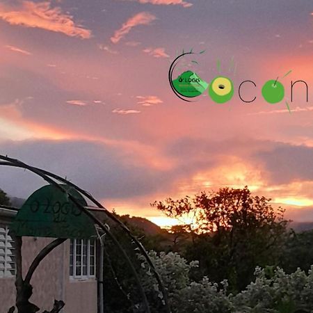 Ferienwohnung O Logis Du Morne Jacob "Coco", Le Morne-Rouge Martinique Exterior foto