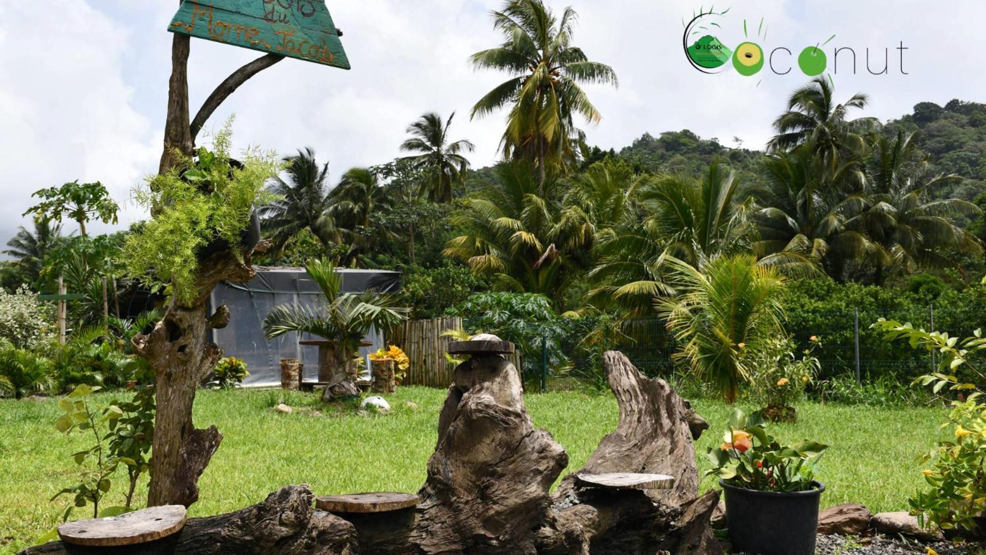 Ferienwohnung O Logis Du Morne Jacob "Coco", Le Morne-Rouge Martinique Exterior foto
